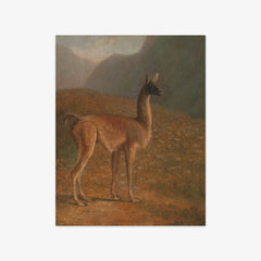 Guanaco by Jacques–Laurent Agasse