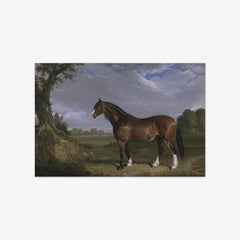 A Clydesdale Stallion by John Frederick Herring