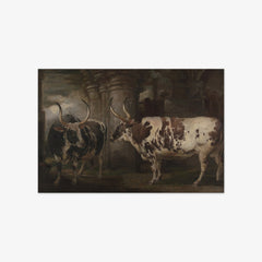 Portraits of Two Extraordinary Oxen, the Property of the Earl of Powis by James Ward