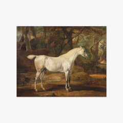 Grey Arabian Stallion, the Property of Sir Watkin Williams-Wynn by James Ward