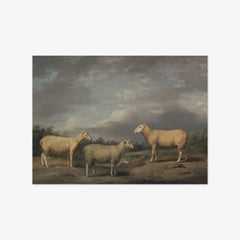 Ryelands Sheep, the King's Ram, the King's Ewe and Lord Somerville's Wether by James Ward
