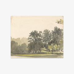 Landscape with Trees by Robert Hills