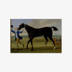 The Duke of Rutland's Bonny Black by John Wootton