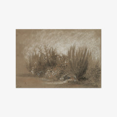 Broom and Brambles by Jules Dupré