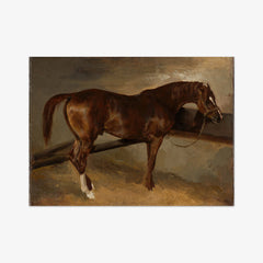Dervish in His Stall by Théodore Géricault