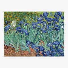 Irises by Vincent van Gogh