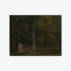 Trees in the Bois de Boulogne, Paris by Achille-Etna Michallon