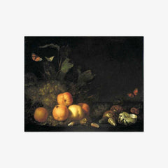 Still Life with Fruits and Shells by Abraham van Calraet