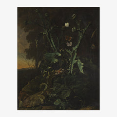 Still Life with Thistles and Butterflies by Abraham Jansz Begeyn