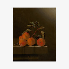 Still Life with Five Apricots by Adriaen Coorte
