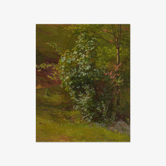 Study of Trees by Ludwig Richter