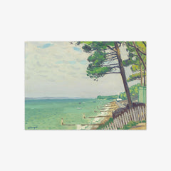 Pines at Pyla by Albert Marquet