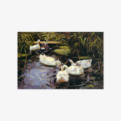 Ducks by Alexander Koester