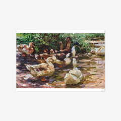 In Sunny Water by Alexander Koester