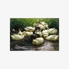 Ducks at the Shore by Alexander Koester