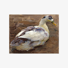 Study of a Duck by Alexander Koester