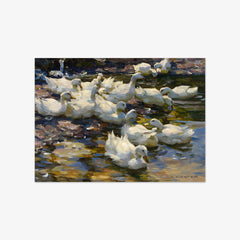 Ducks in the Water by Alexander Koester