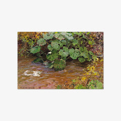 Plants by the Water by Alexander Koester