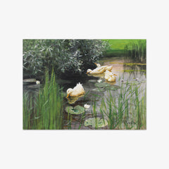 Ducks in a Water Lily Pond by Alexander Koester