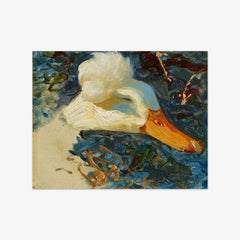 Study of a Duck's Head with Feather Crown by Alexander Koester