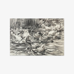 Ducks in Reeds by Alexander Koester