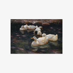 Ducks in the River by Alexander Koester