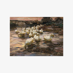 Ducks in the Lake at Sunset by Alexander Koester