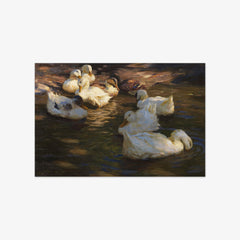 Nine Ducks in the Evening Light by Alexander Koester