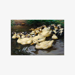 Ducks in the Pond by Alexander Koester