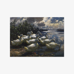 Ducks in the Morning Sun by Alexander Koester