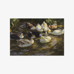 Ducks in the Pond by Alexander Koester