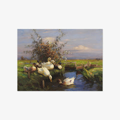 Seven Ducks by the Ditch by Alexander Koester
