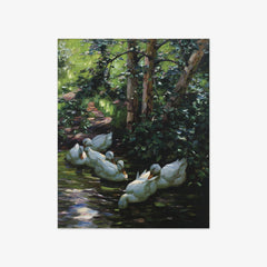 Six Ducks in Water by Alexander Koester