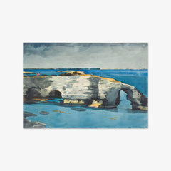 Coral Formation by Winslow Homer