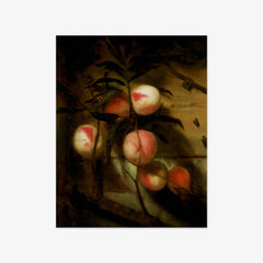 Still Life with Peaches by Nicolaes Maes