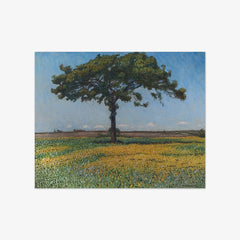 Young Oak by Nils Kreuger