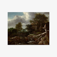 A Waterfall in a Wooded Landscape by Jacob van Ruisdael