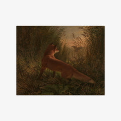 A Fox by Siegwald Dahl