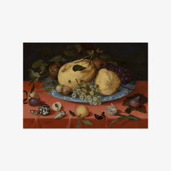 Fruit Still Life with Shells and Tulip by Balthasar van der Ast