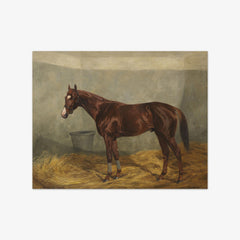 The Racehorse Phantom by Richard Benno Adam