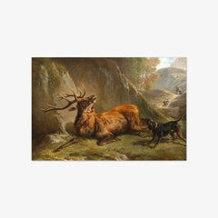 Gestellter Hirsch by Richard Benno Adam