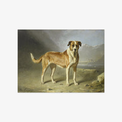 Saint Bernard Dog by Bernard te Gempt
