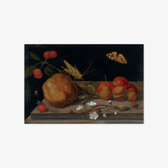 Still Life with Fruit, a Grasshopper and a Butterfly by Maria Sibylla Merian