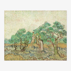 Vincent van Gogh - The Olive Orchard - Poster